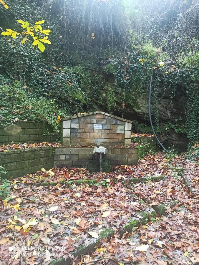Forestrock Studio For Sale Too Sparta Exterior photo