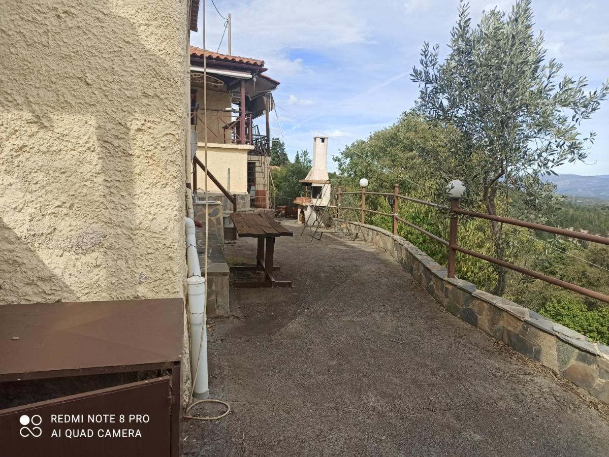 Forestrock Studio For Sale Too Sparta Exterior photo