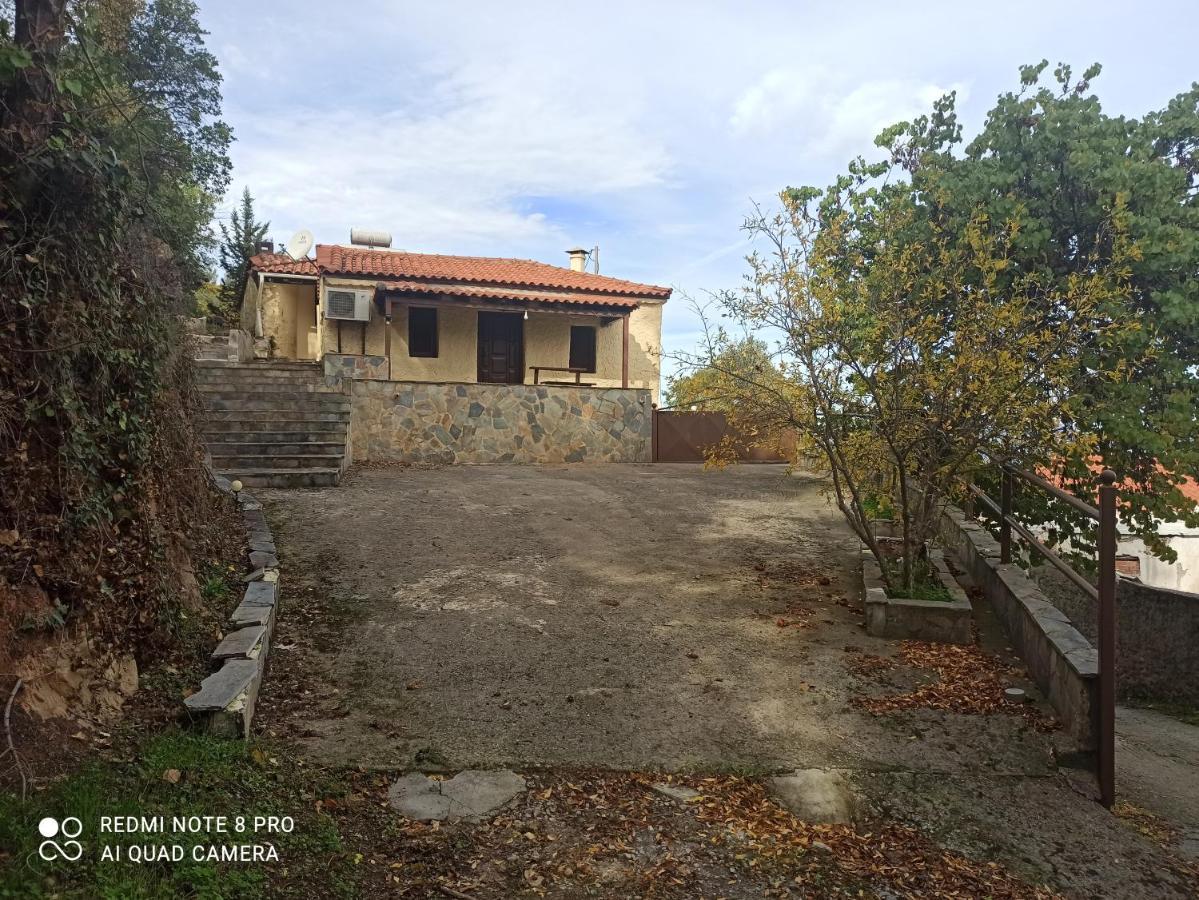 Forestrock Studio For Sale Too Sparta Exterior photo