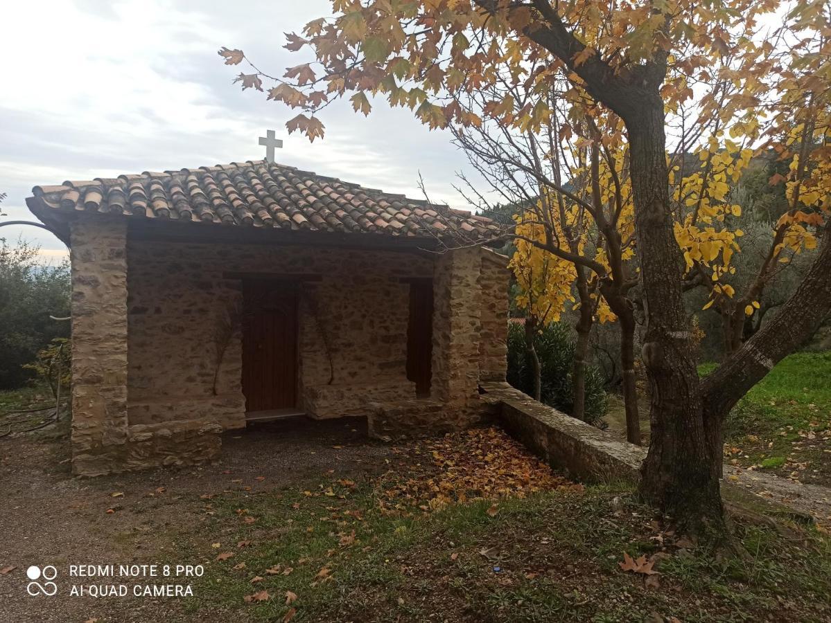 Forestrock Studio For Sale Too Sparta Exterior photo