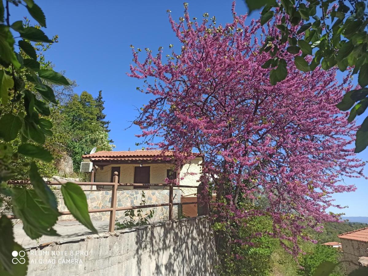 Forestrock Studio For Sale Too Sparta Exterior photo